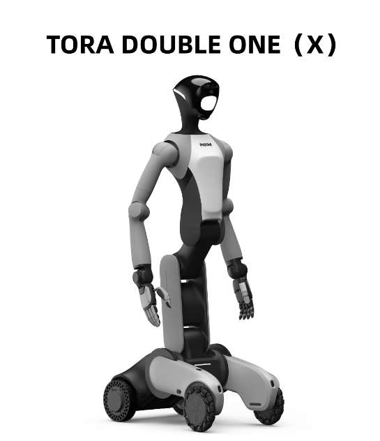 PAXINI TORA-DOUBLE ONE